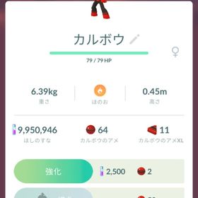 カルボウ 1体110円 | ポケモンGOのアカウントデータ、RMTの販売・買取一覧