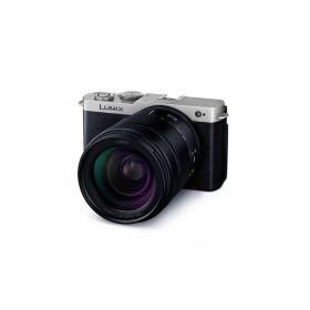 パナソニック ルミックス S9 デジタル一眼カメラ 高倍率ズームレンズキット デジタルカメラ LUMIX DC-S9H-S ダークシルバー【送料無料】【KK9N0D18P】