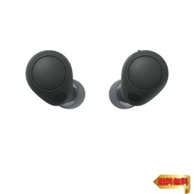【マラソン最大46倍】ソニー(SONY) 完全ワイヤレスイヤホン WF-C700N :高性能ノイズキャンセリング搭載/軽量・小型設計/音質アップスケール機能搭載/連続