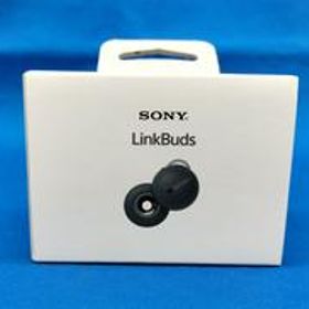 ワイヤレスイヤホン WF-L900 SONY