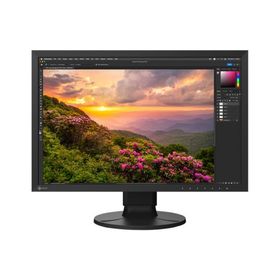 EIZO 24.1インチカラー液晶モニター ColorEdge (1920x1200/USB Type-C) CS2400S-BK