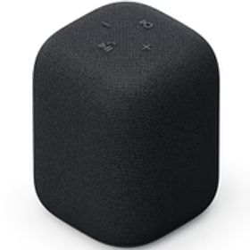 ソニー SONY LinkBuds Speaker（リンクバッズ スピーカー） ワイヤレスポータブルスピーカー ブラック SRS-LS1 B