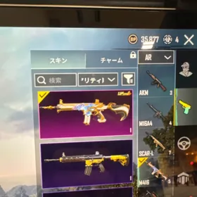 PUBG | PUBG MOBILEのアカウントデータ、RMTの販売・買取一覧