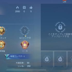 引退垢 | モバレジェ(モバイルレジェンド)のアカウントデータ、RMTの販売・買取一覧