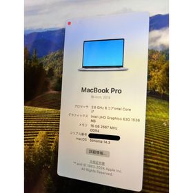 アップル(Apple)のMacbook Pro 16inch 2019(ノートPC)