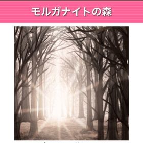 GREE ガルショ モルガナイトの森 | ガルショのアカウントデータ、RMTの販売・買取一覧