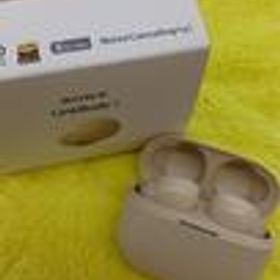 ワイヤレスイヤホン WF-LS900N/CC SONY