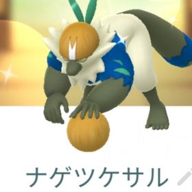 色違いナゲツケサル トレード XXS | ポケモンGOの代行、RMTの販売・買取一覧