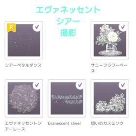 エヴァネッセントシアー 撮影 | ピュアニスタのアイテム、RMTの販売・買取一覧