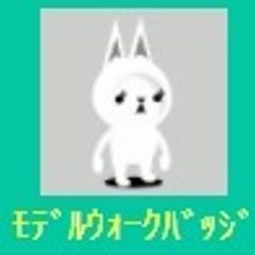 ﾓﾃﾞﾙｳｫｰｸﾊﾞｯｼﾞ 上段セット | スペースデブリーズのアイテム、RMTの販売・買取一覧