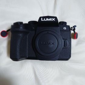 panasonic lumix g99(ミラーレス一眼)