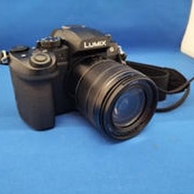 ミラーレス一眼レンズセット DC-G99D PANASONIC