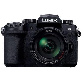 中古 1年保証 美品 Panasonic LUMIX G99 高倍率ズームレンズキット [DC-G99H-K]