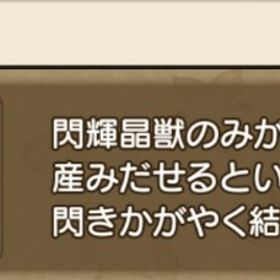 閃輝晶核20個 | ドラクエ10(DQX)のアイテム、RMTの販売・買取一覧
