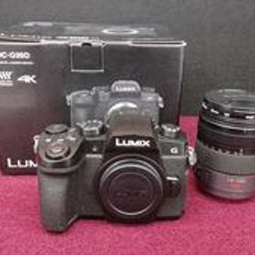 ミラーレス一眼レフボディ＆レンズセット DC-G99D/H-VS014140 PANASONIC