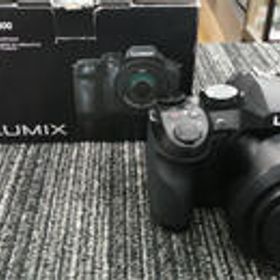デジタルカメラ DMC-FZ300 PANASONIC