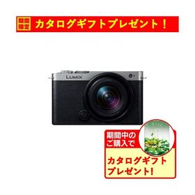 【期間限定ギフトプレゼント】パナソニック DC-S9N-S S9 広角ズームレンズキット ミラーレス一眼カメラ LUMIX ダークシルバー