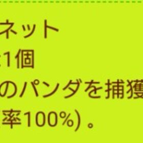 激レア 熊猫ネット ラスト1点 | 農園ホッコリーナのアカウントデータ、RMTの販売・買取一覧