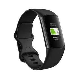 Google Fitbit Charge 6 活動量計 トラッカー Obsidian Black 本体 トラッカー 心拍計 日本正規品 ギフト