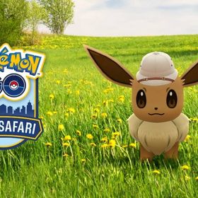 【GO TOUR／シティサファリ】代行（台南/ブエノスアイレス/マイアミ）グローバル | ポケモンGOの代行、RMTの販売・買取一覧