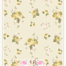 グレースローズウォール アイボリー | ニコッとタウン(ニコタ)のアカウントデータ、RMTの販売・買取一覧