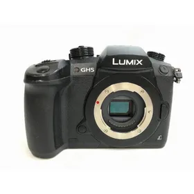 【美品】パナソニック Panasonic LUMIX DC-GH5 ボディ 概要 デジタル一眼カメラ/ボディ DC-GH5 | LUMIX（ルミックス） ミラー