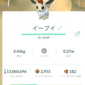 ラスト1体【色違い✨️】ホリデー イーブイ | ポケモンGOのアカウントデータ、RMTの販売・買取一覧