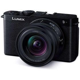 パナソニック Panasonic ミラーレス一眼カメラ LUMIX S9 広角ズームレンズキット DC-S9N-K ジェットブラック