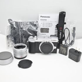 ショット数『4240』パナソニック ミラーレス一眼カメラ ルミックス GX7MK3 単焦点ライカDGレンズキット シルバー DC-GX7MK3L-S