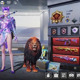 M416 MK14 AWM UMPデスクレ4つ！ | PUBG MOBILEのアカウントデータ、RMTの販売・買取一覧