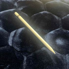 アップル(Apple)のApple Pencil 第一世代(その他)