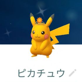 色違い太陽の冠 月の冠ピカチュウ トレード XS 通常XXS | ポケモンGOの代行、RMTの販売・買取一覧