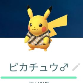 バティックピカチュウ バリ風船 スラバヤ ピカチュウ ペアトレード XL XS XXL | ポケモンGOの代行、RMTの販売・買取一覧