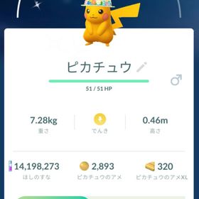 【色違い✨️】花帽子 ピカチュウ トレード | ポケモンGOのアカウントデータ、RMTの販売・買取一覧