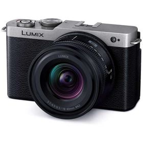 パナソニック Panasonic ミラーレス一眼カメラ LUMIX S9 広角ズームレンズキット DC-S9N-S ダークシルバー