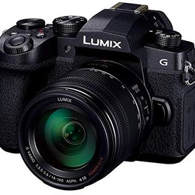 【中古】「非常に良い」パナソニック ミラーレス一眼カメラ ルミックス G99H 高倍率ズームレンズキット 2030万画素 ブラック DC-G99H-K