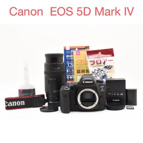 キヤノン(Canon)のCanon EOS 5D Mark IV / CANON EF100-300mm(デジタル一眼)