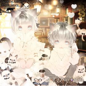 🟧 バラ売り可能 真冬のシャム猫書房[16点] | ピュアニスタのアイテム、RMTの販売・買取一覧
