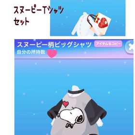 スヌーピー ❤️２点セット 最終価格！ | ポケコロのアカウントデータ、RMTの販売・買取一覧