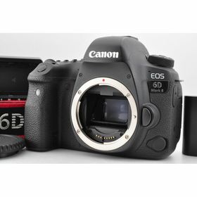 キヤノン(Canon)のCanon EOS 6D Mark II シャッター回数19794 #GB06(デジタル一眼)
