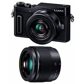 パナソニック ミラーレス一眼カメラ ルミックス GF10 ダブルレンズキット 標準ズームレンズ/単焦点レンズ付属 ブラック DC-GF10W-K(ミラーレス一眼)