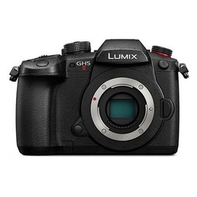パナソニック ミラーレス一眼カメラ ルミックス LUMIX Gシリーズ DC-GH5M2 ボディ ブラック