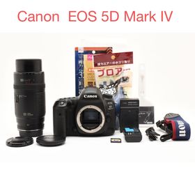 キヤノン(Canon)のCanon EOS 5D Mark IV / Canon 100-300mm (デジタル一眼)