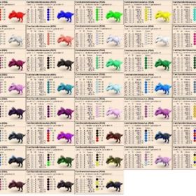 公式pve 🌟カラーカルカロ🌟クローン | ARK Survival Evolvedのアカウントデータ、RMTの販売・買取一覧