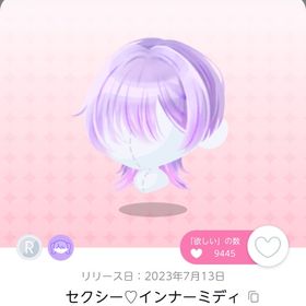 セクシー♡インナーミディ 2個 | ポケコロツイン(ポケツイ)のアイテム、RMTの販売・買取一覧