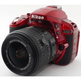 ニコン デジタル一眼 Nikon D5300 レッド レンズキット 中古 Wi-Fi搭載 新品SDカード付き 届いてすぐに使える スマホに送れる 動画撮影