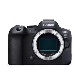 中古 １年保証 美品 Canon EOS R6 Mark II ボディ