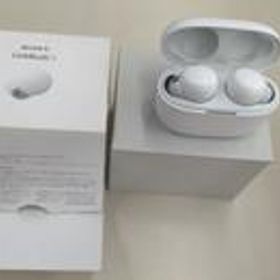 ワイヤレスイヤホン WF-LS900N SONY