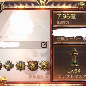 戦力6.93億～ VIP21 コレクト65 サーバー27 | WARPATH武装都市(ウォーパス)のアカウントデータ、RMTの販売・買取一覧