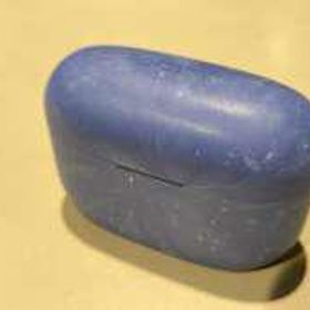 イヤホン WF-LS900N SONY